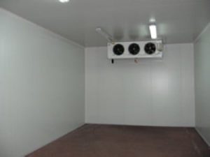 Camere refrigerare congelare 159 mc